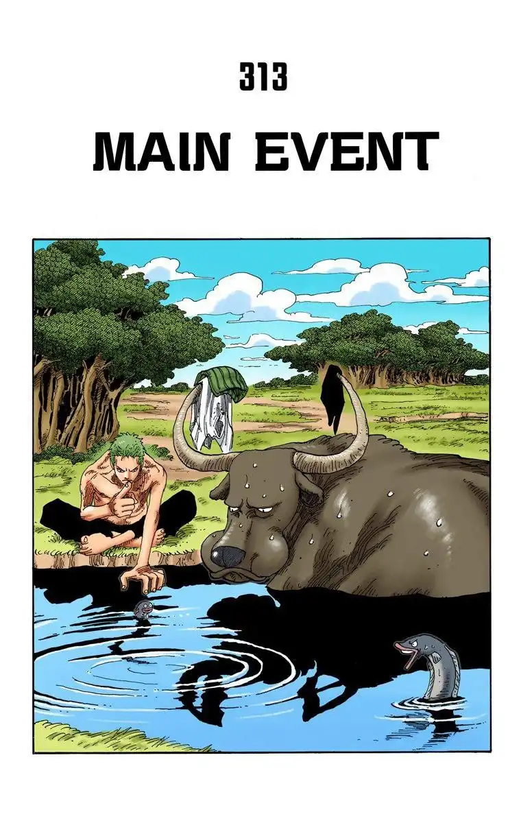 One Piece - Digital Colored Comics Chapter 313 2